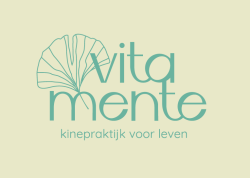 Afbeelding › Kinepraktijk Vitamente