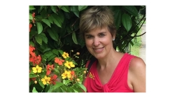 Afbeelding › Refit