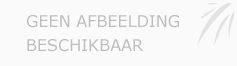 Afbeelding › Ellen van waard